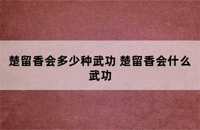 楚留香会多少种武功 楚留香会什么武功